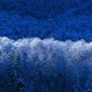 Meet your Posher, Hilary